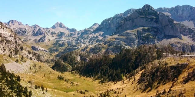 Raue Welten - Wilde Schönheiten
