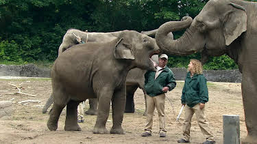 18:10: Leopard, Seebär & Co. (101) | NDR Fernsehen | 10/26 2026