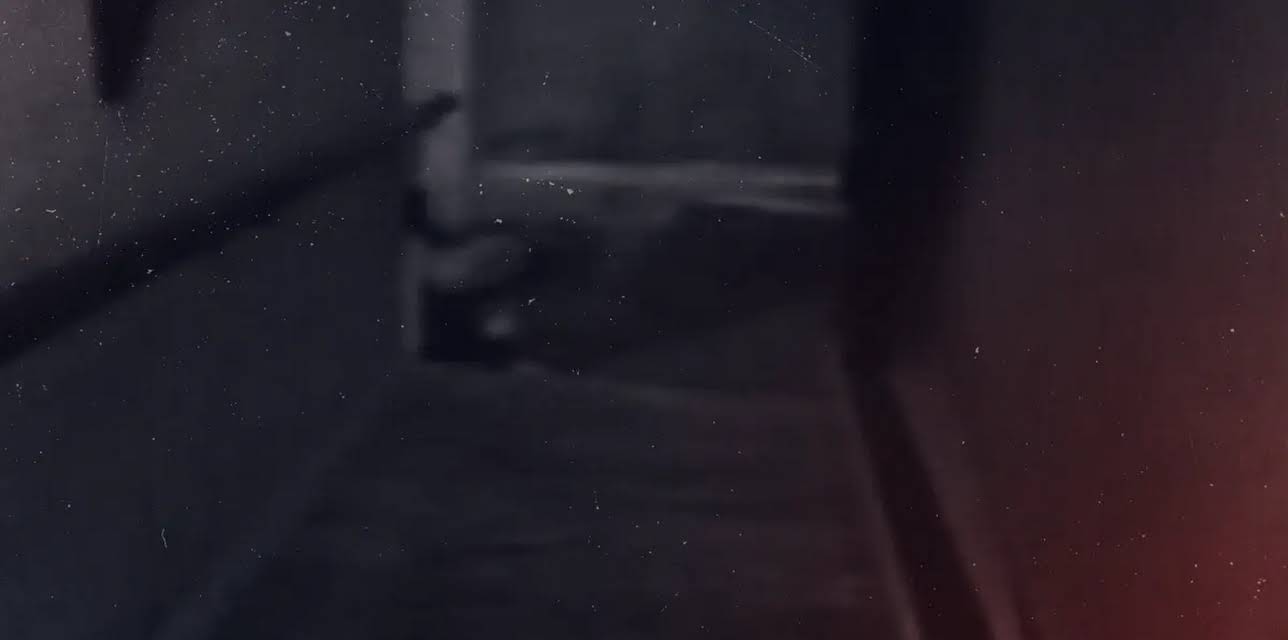 An American Murder Mystery: The Staircase