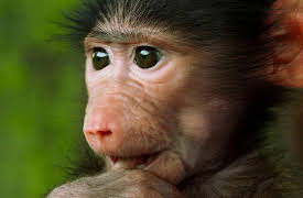 Work on the Wild Side, Season 1: Wake Up Call