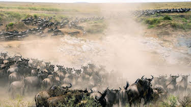 17:50: Masai Mara | Arte | 4/13 2026