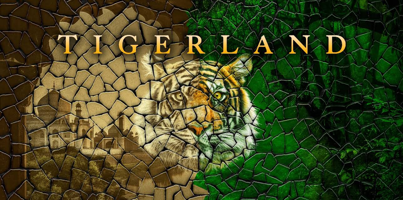 Tigerland Season 1