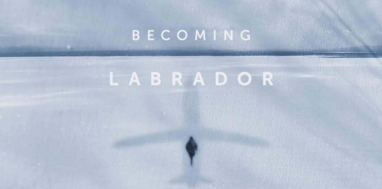Becoming Labrador (2019)