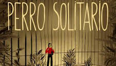 Perro solitario