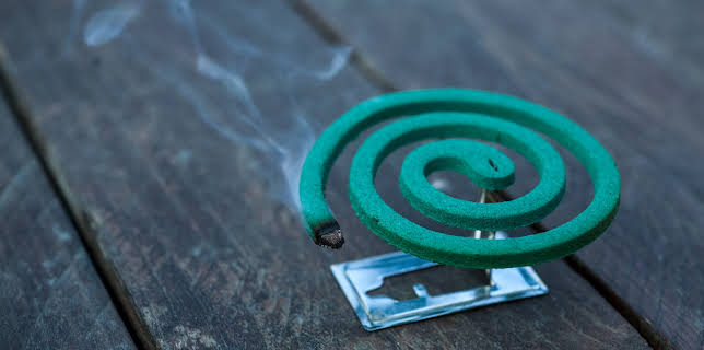 10:00: How It's Made (S24 E8) (S24) | Discovery Science | 12/14 2025