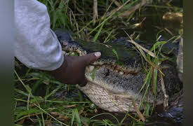 American River Renegades Season 1: On Thin Ice