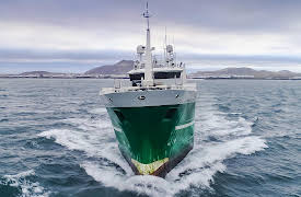 Ice Cold Catch: The Final Shift