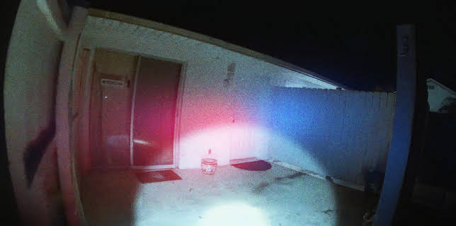 The Perfect Neighbor (2025)