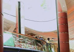 Desaparecidos: Yo nací así