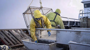 1:00 AM: Deadliest Catch (S20) | Discovery Channel | 10/24 2026