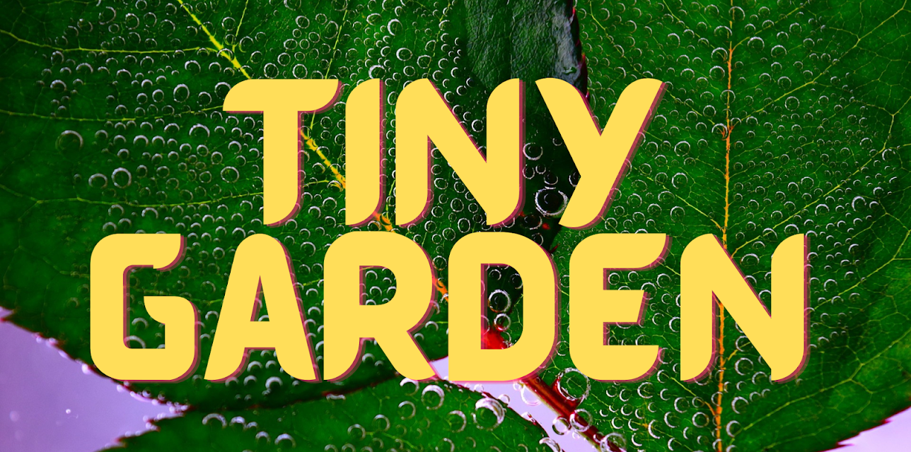 Tiny Garden
