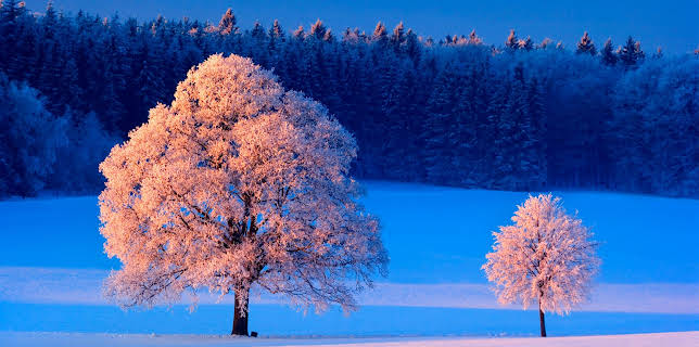 14:45: Winterwelten | 3SAT | 12/8 2025