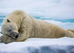 Mindful Escapes: Breathe, Release, Restore