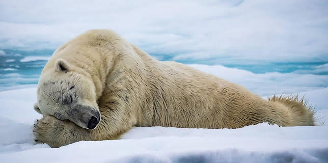 12:05 AM: Mindful Escapes: Breathe, Release, Restore | BBC Four | 3/16 2026