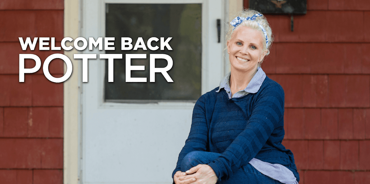 Welcome Back Potter, Season 1