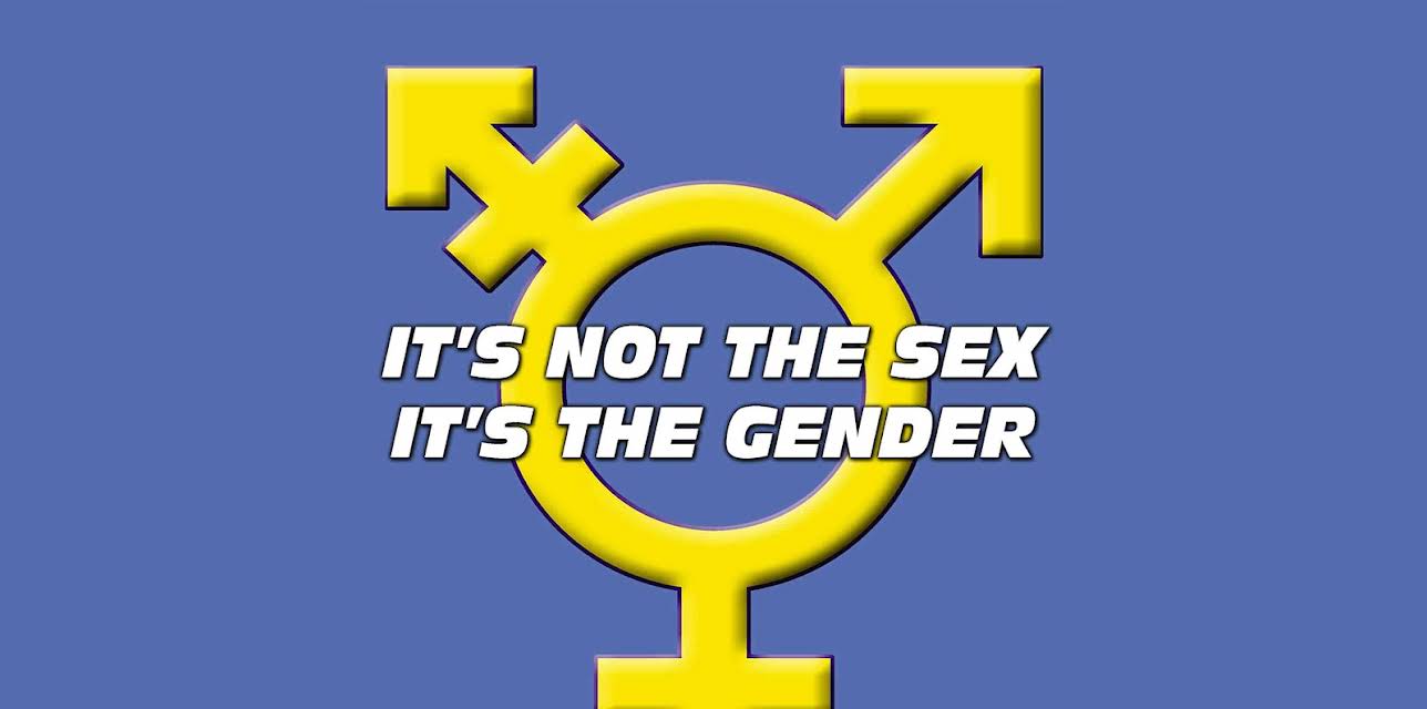 It's Not the Sex...It's the GENDER (2015)