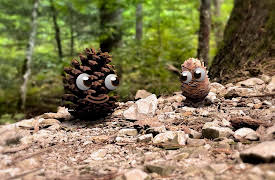 Pops and Peanut: Season 1: Superstar