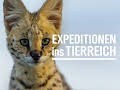 Expeditionen ins Tierreich