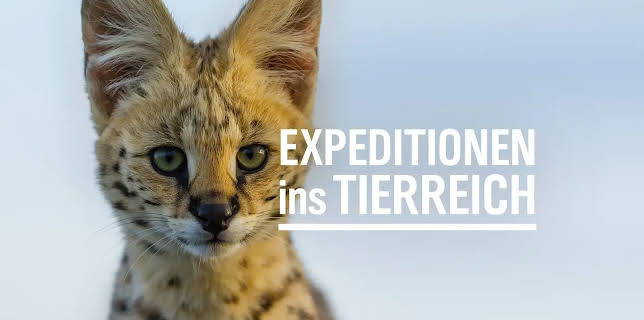 20:15: Expeditionen ins Tierreich | NDR Fernsehen | 12/3 2025