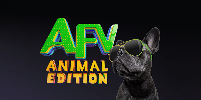 America's Funniest Home Videos: Animal Edition Season 1