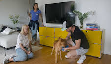 Der Hundeprofi - Rütters Team