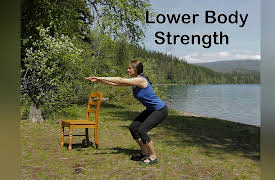 Balance & Strength Exercises for Seniors: 9 Practices with Jane Adams: Lower Body Strength
