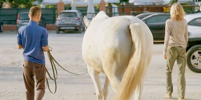 8:00 AM: Bargain-Loving Brits in the Sun (S8 E15) (S8) | 5 Star | 2/25 2026