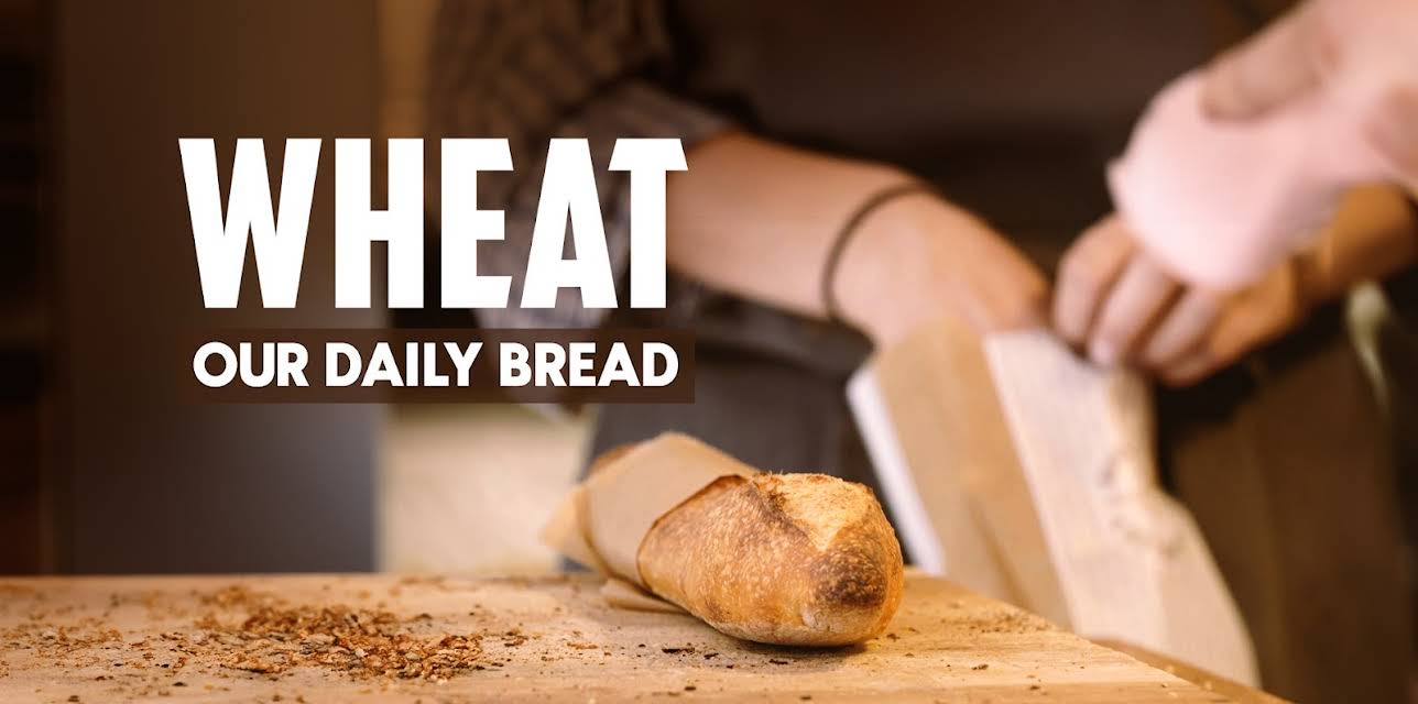 WHEAT OUR DAILY BREAD (2024)