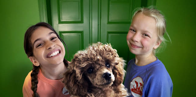 16:30: Dyredilla: Muffinstrøbbel | NRK Super | 1/27 2026