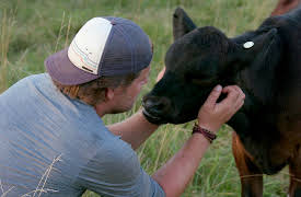 Saved By the Barn Season 1: House Fire Rescue