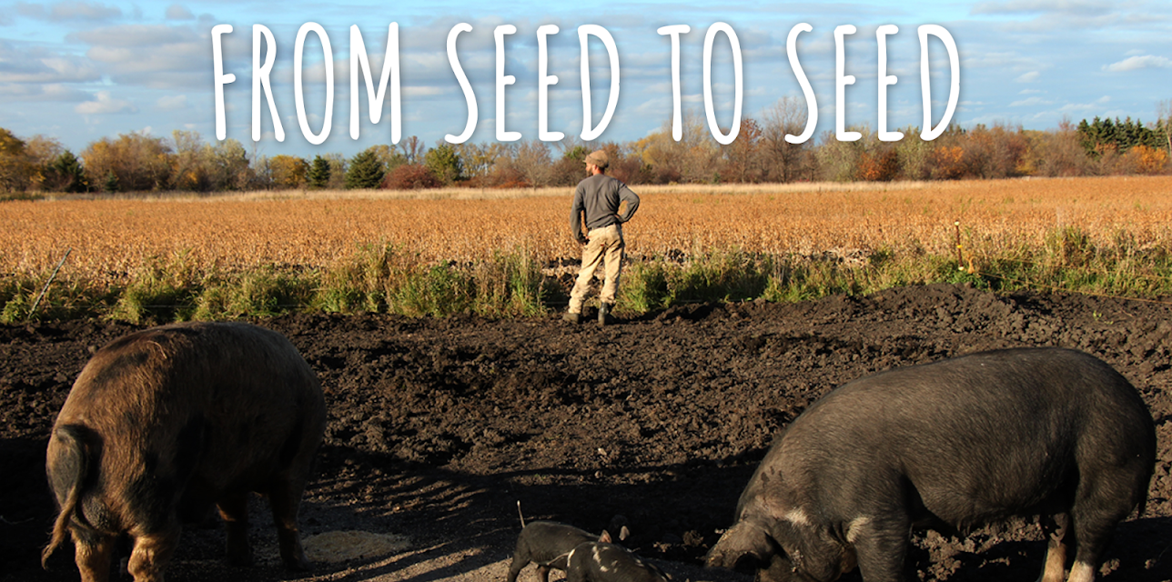 From Seed To Seed (2018)