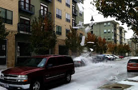 Chaos Caught on Camera: Tragisk tsunami, styrtdykkende fly, canadisk katastrofe