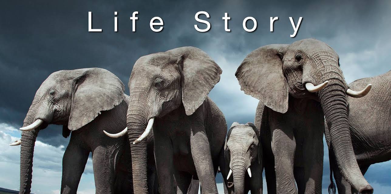 Life Story Season 1