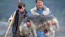 Friedhof der Kuscheltiere 2