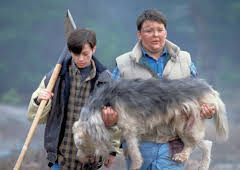 Friedhof der Kuscheltiere 2