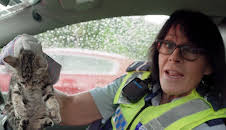 Police Force - Einsatz in Neuseeland