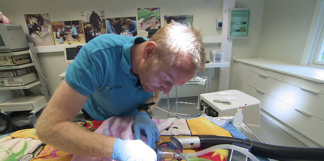 16:55: Dyrepasserne | TV 2 | 11/10 2025