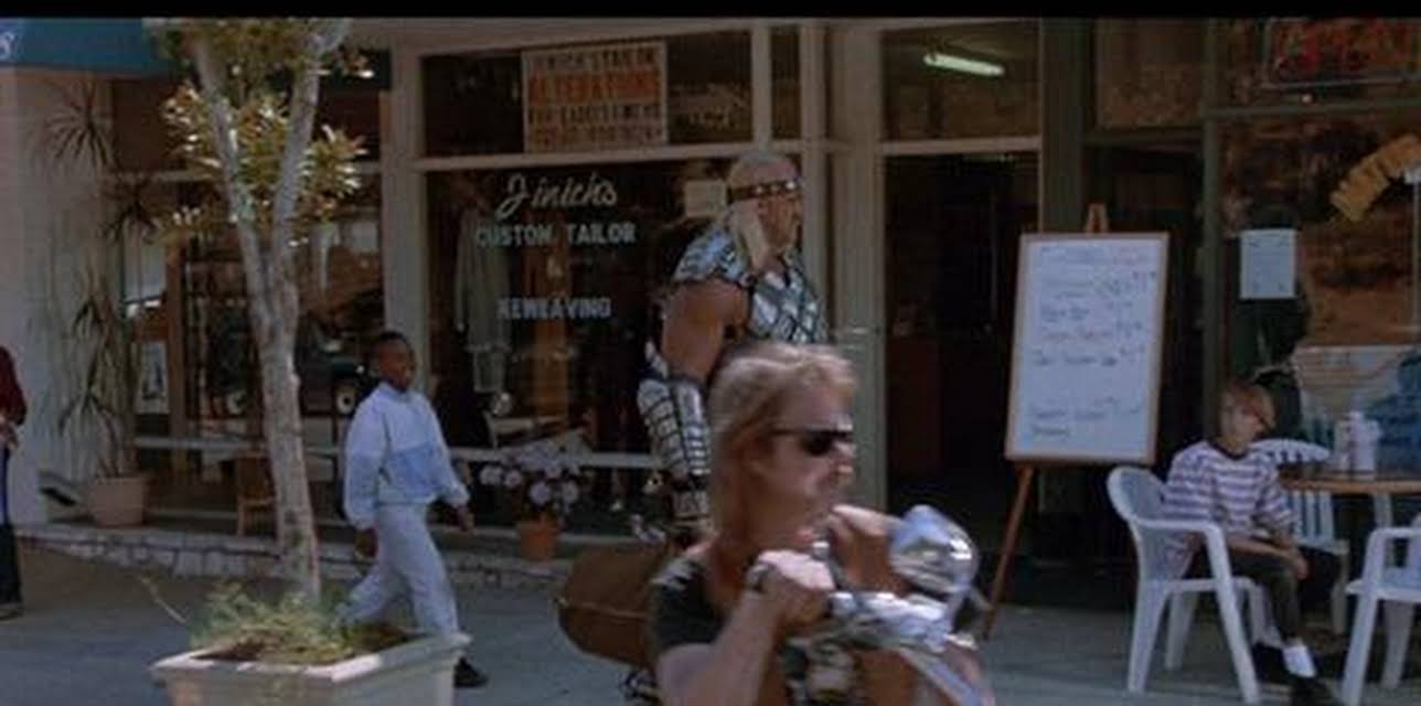 Suburban Commando (1991)
