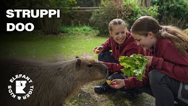 06:20: Elefant, Tiger & Kids | Das Erste | 9/12 2026