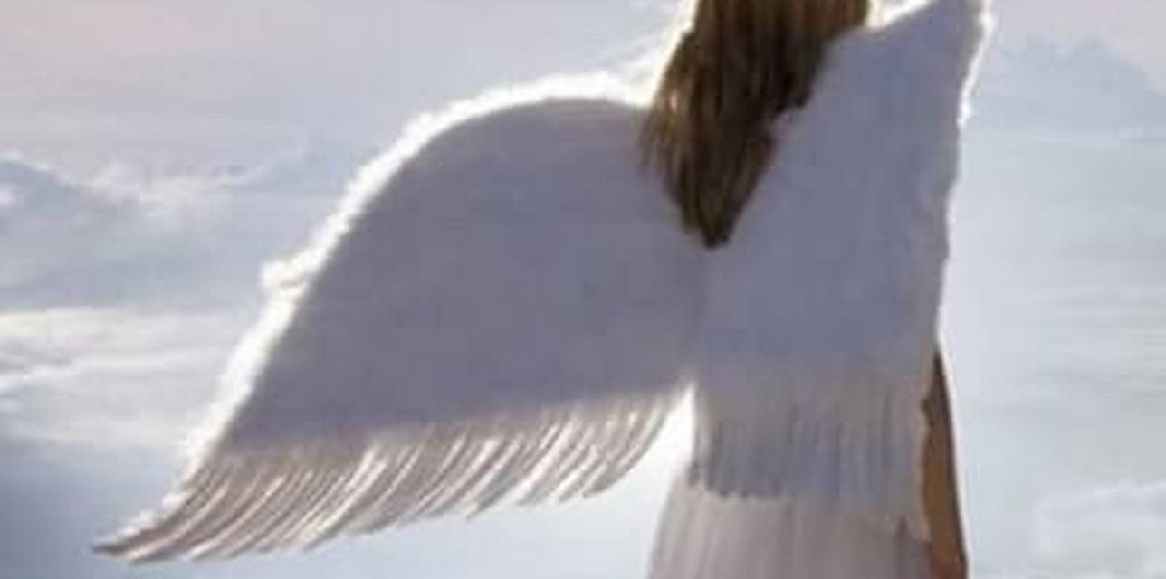 Angels Sent on Assignment