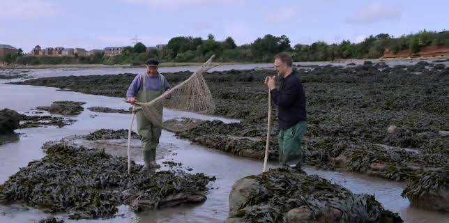 14:15: Antiques Road Trip (S24 E22) (S24) | TV6 | 3/7 2026