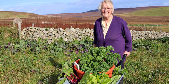 10:05 AM: Shetland: Scotland's Wondrous Isles (S1 E2) (S1) | Channel 5 | 11/15 2025