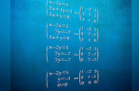 Mathematics Describing the Real World: Precalculus and Trigonometry: Systems of Linear Equations and Matrices