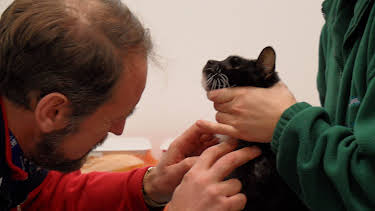 02:45: Animal ER (S1 E1) (S1) | Animal Planet | 4/3 2026