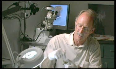 02:05: Autopsie - Mysteriöse Todesfälle (S16 E19) (S16) | RTL 2 | 4/2 2026