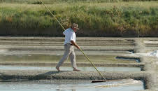 Maritimes Erbe (4/6)