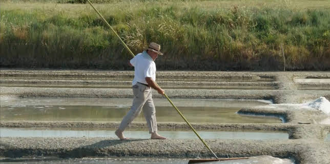 12:24: Maritimes Erbe (4/6) | 3SAT | 1/5 2026