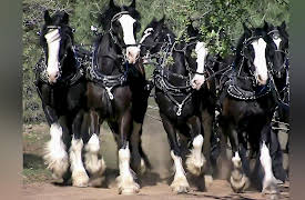 Pool Master Season 1: Wine Party Pool