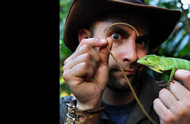 Season 1: Mud Dragons