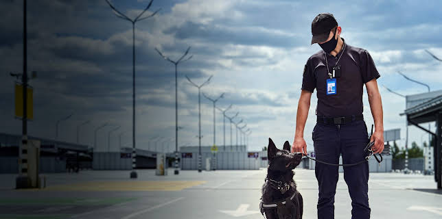 02:35: Airport Security Denmark (S2 E8) (S2) | Discovery Channel | 11/11 2025